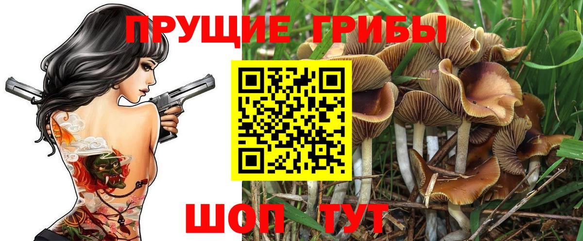 Галлюциногенные грибы Cubensis Донской