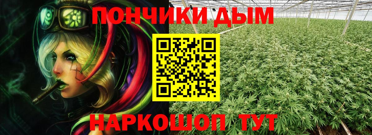 Конопля White Widow  Вход с VPN  Марихуана сатива  Каннабис OG Kush  Донской 